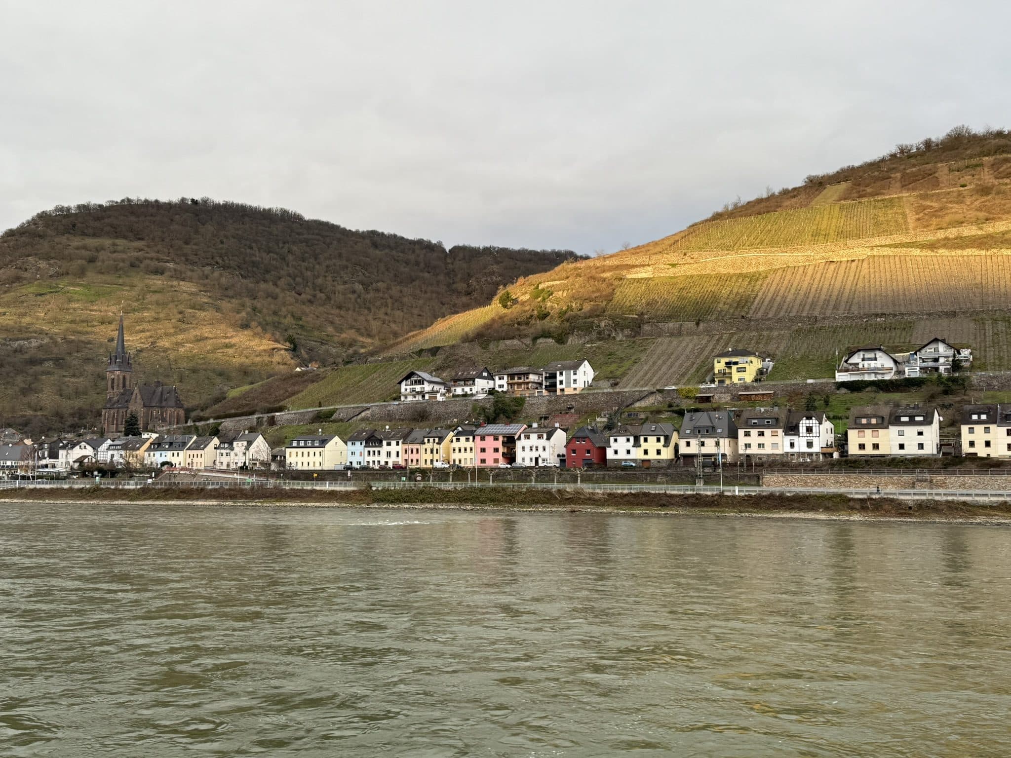 A row of colorful houses on the bank of the Rhine, below a hillside of terraced vineyards